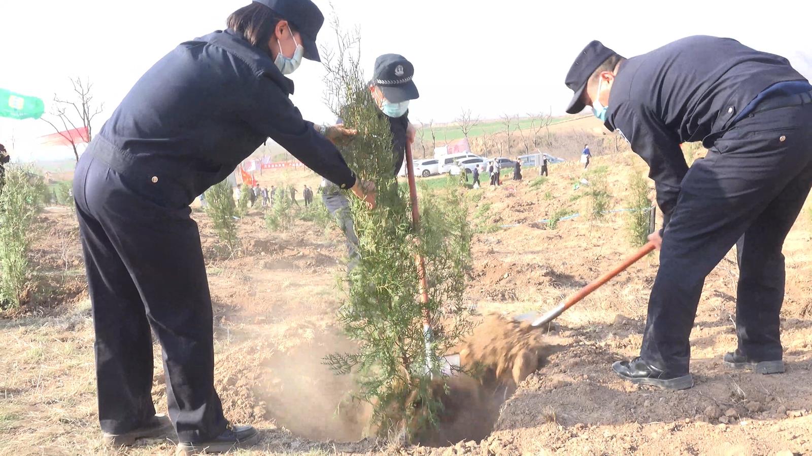 春风十里 植绿走起——蒲城县公安局积极参加义务植树活动（图）