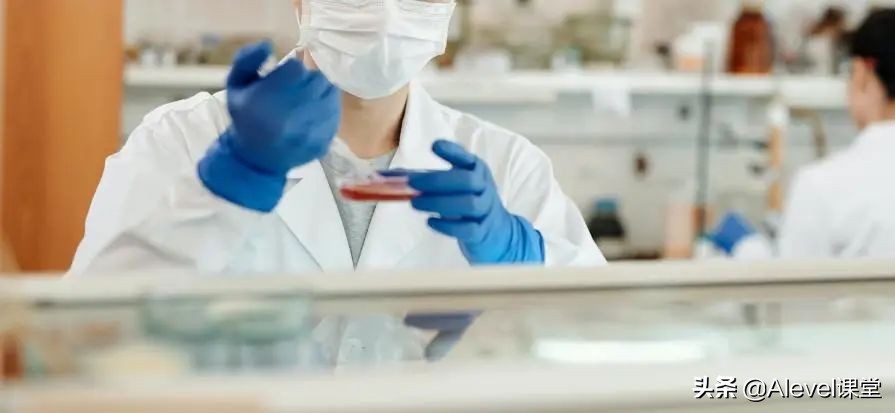 海外学生眼中的A-Level科目及备考建议