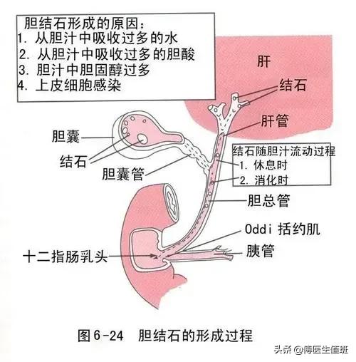 30分钟的手术，作了两个小时，医生：以后这样的病人会越来越多