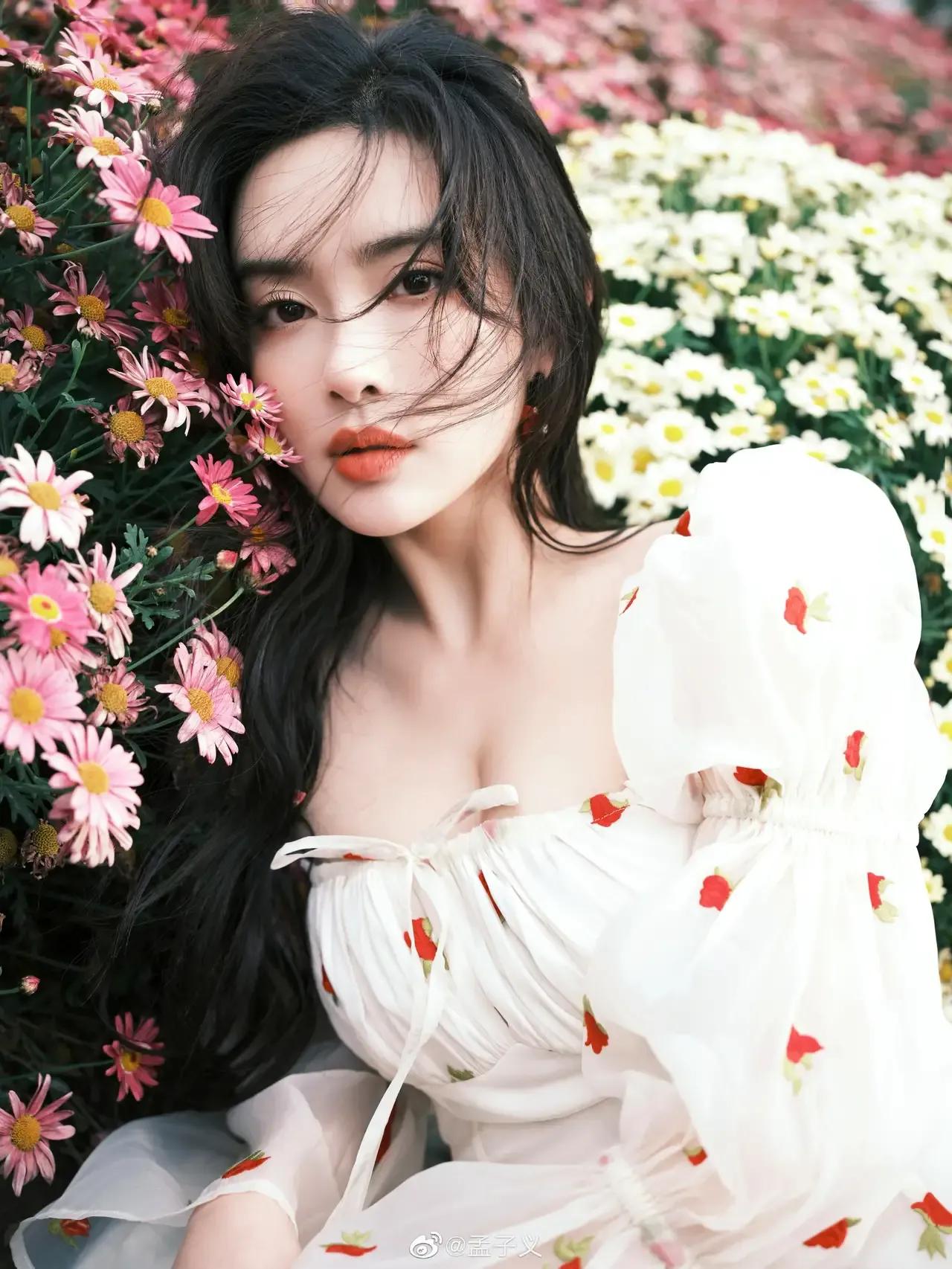 明星美图，一起欣赏