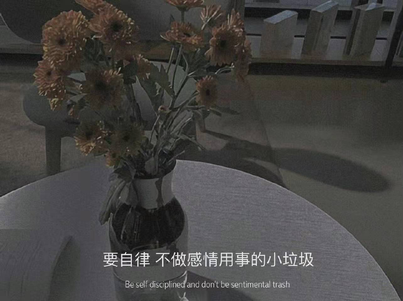 丧到极致的个人状态文案