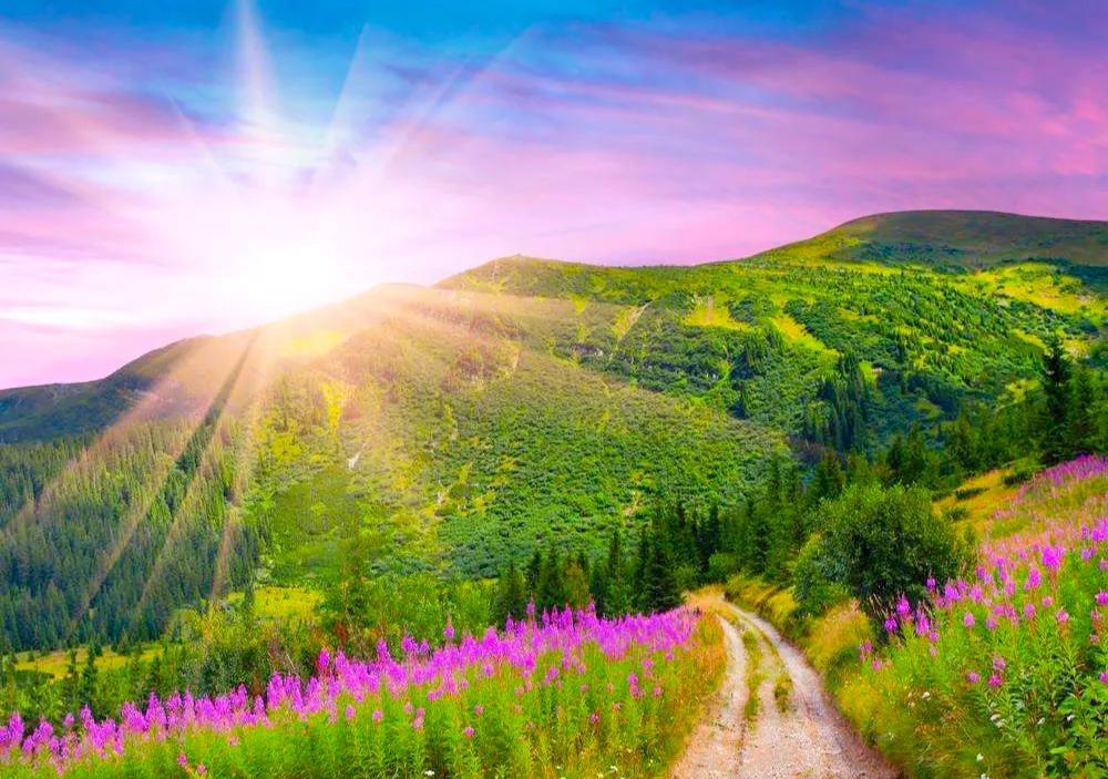 平静的图片 心情(静心和心静才是人生最美好的境界)