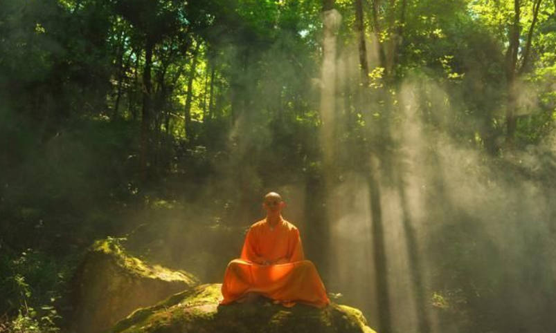 少林禅院武术学校（天下武功出少林）