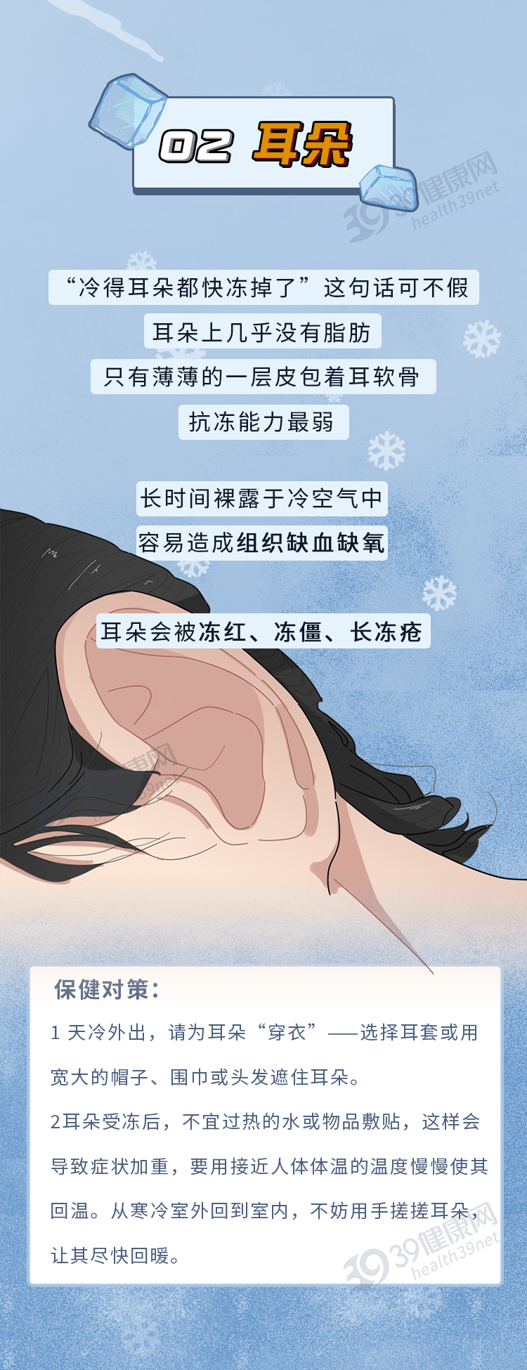 冬日轻进补，健康巧养生，多吃7种平价养生食材，祛湿健脾好过冬