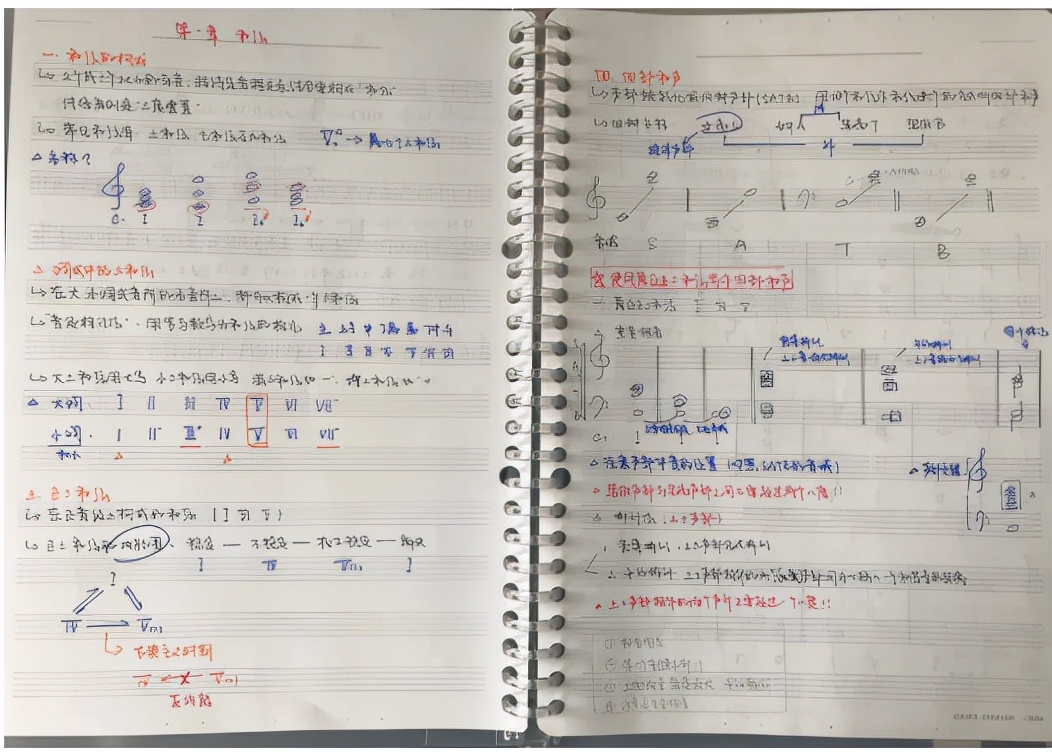 字体堪比印刷！湖北5位学霸“硬核笔记”被曝光，已赴985、211名校深造！