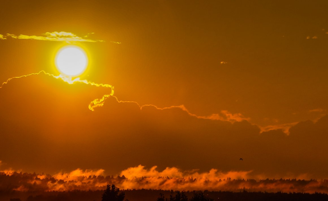如果地球再靠近太阳10厘米会发生什么？模拟显示，生命会消失
