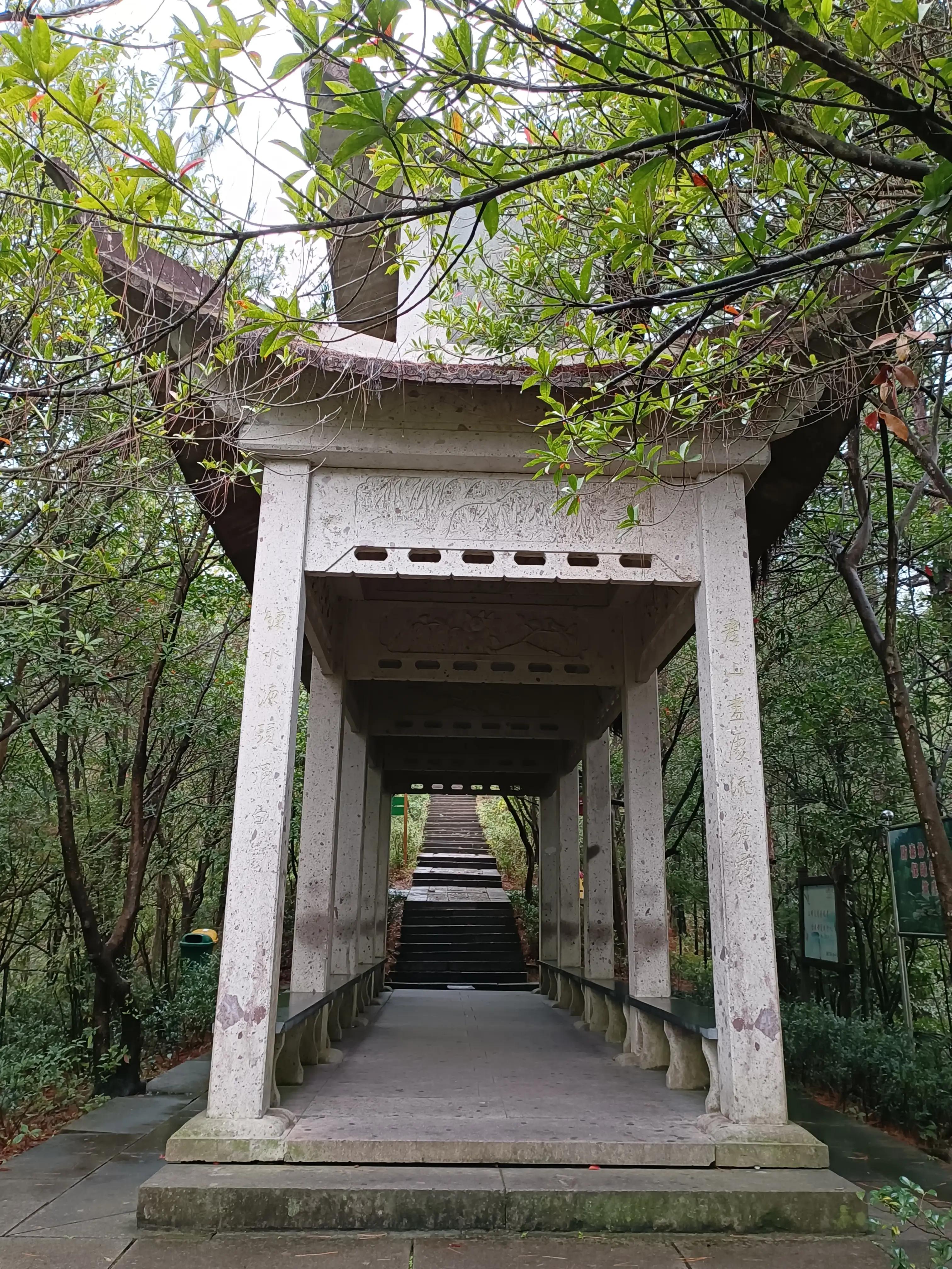 行到水穷处，坐看云起时一一雨游白云山