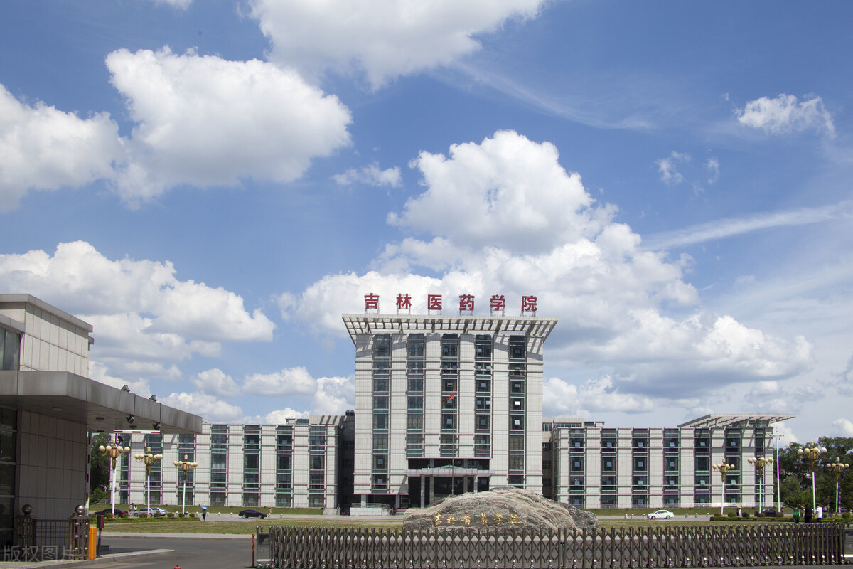 湖南艺术职业学院单招（湖南省哪些大学会单招）