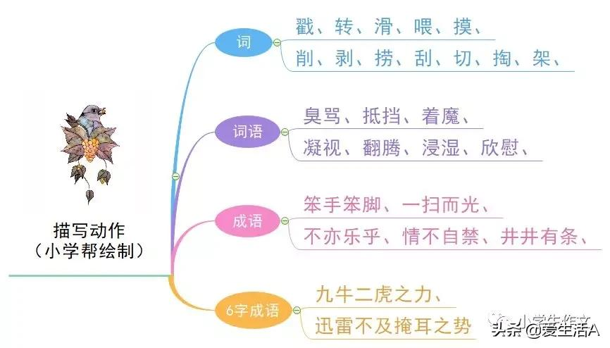 兴趣爱好/心理/神态/动作/性格的好词好句好段！写人必备素材