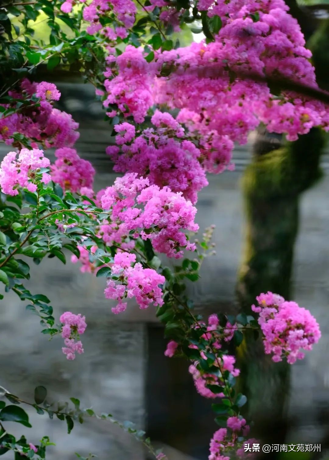 写给妈妈的话唯美简短八个字,写给妈妈的话唯美简短