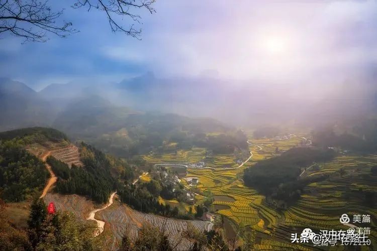 全部免費(fèi)！漢中鄉(xiāng)村賞花攻略出爐！妥妥安排