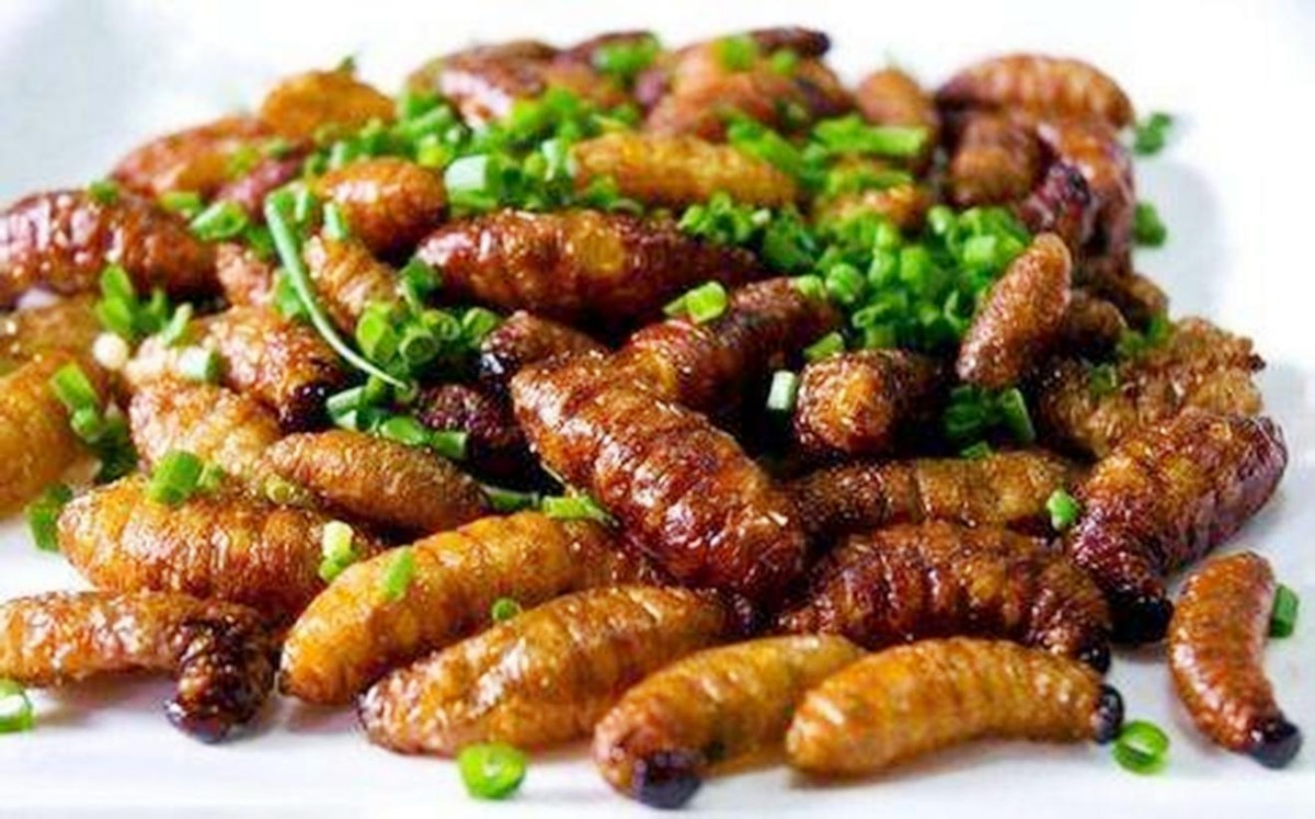 椒盐竹蛆(椒盐竹虫的做法大全) - 美食网