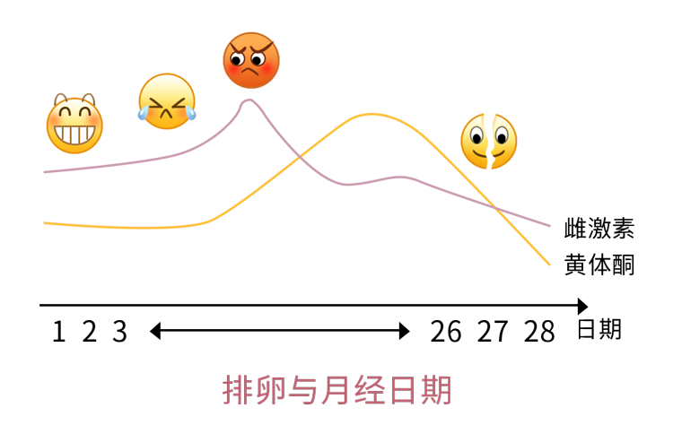 卫生巾需要多久换一次？经期能不能同房？这些生理知识要知道