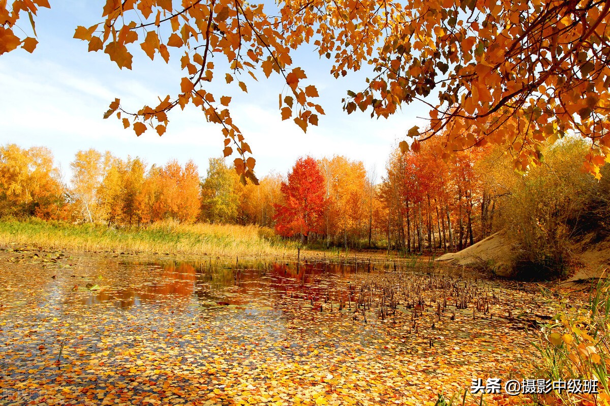 點(diǎn)評(píng)3張照片，犯了一樣的攝影錯(cuò)誤，拍風(fēng)景的忌諱