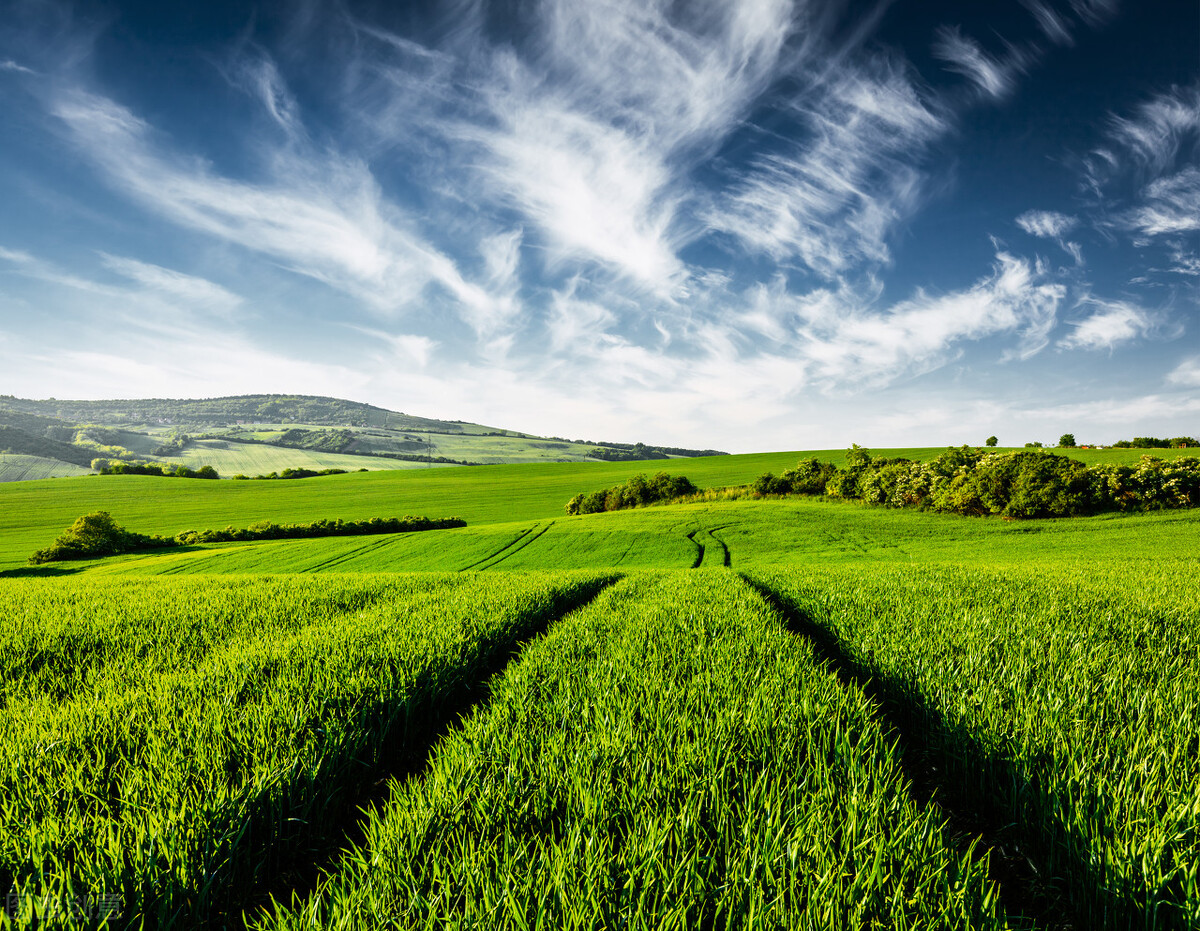 山东安丘发布土地征收预公告，涉及9个村落，快来看看范围