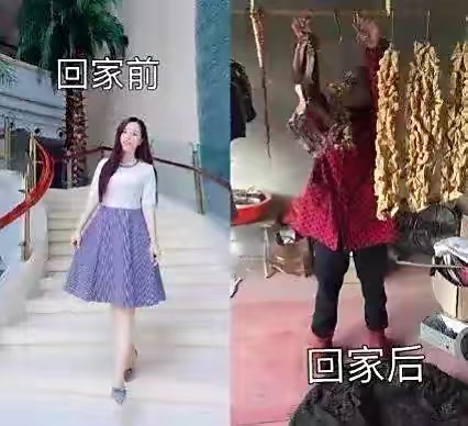 大学生回村前后对比图火了，在外再嚣张回家也要扒苞米，笑不活了