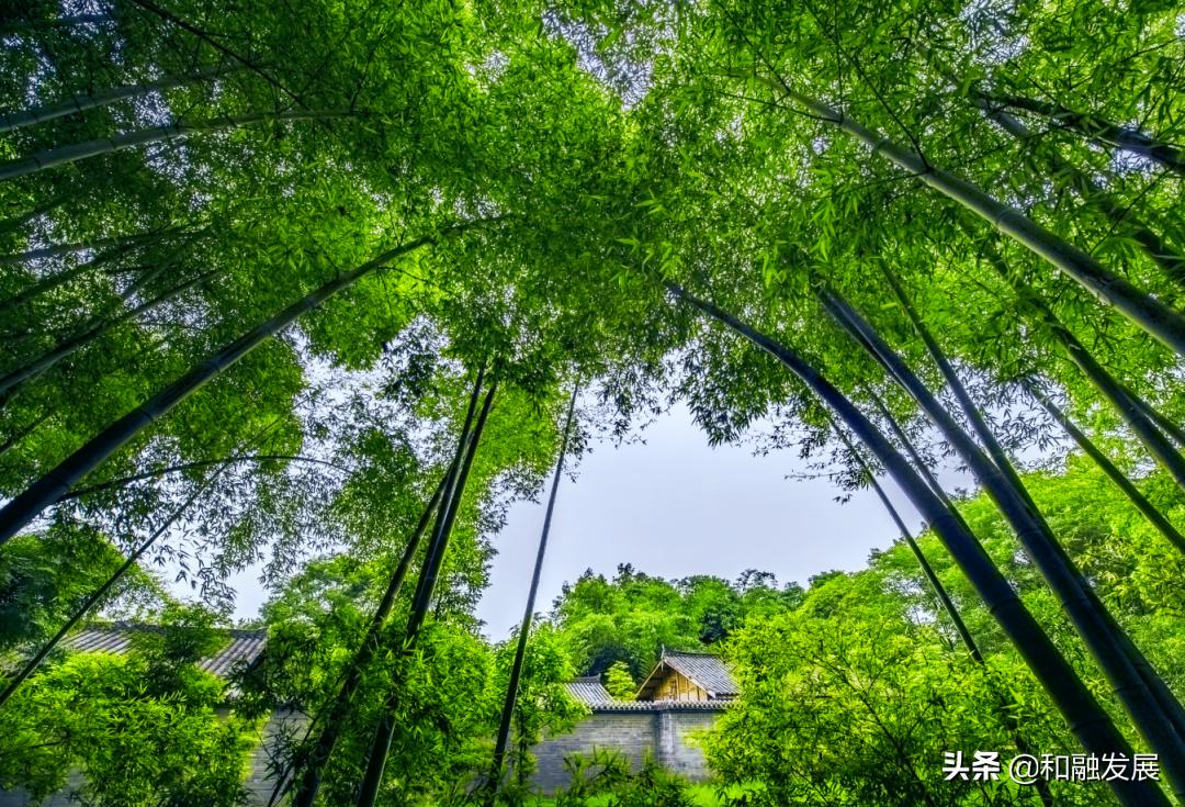 带上家人朋友，到成都的乡村FUN肆耍