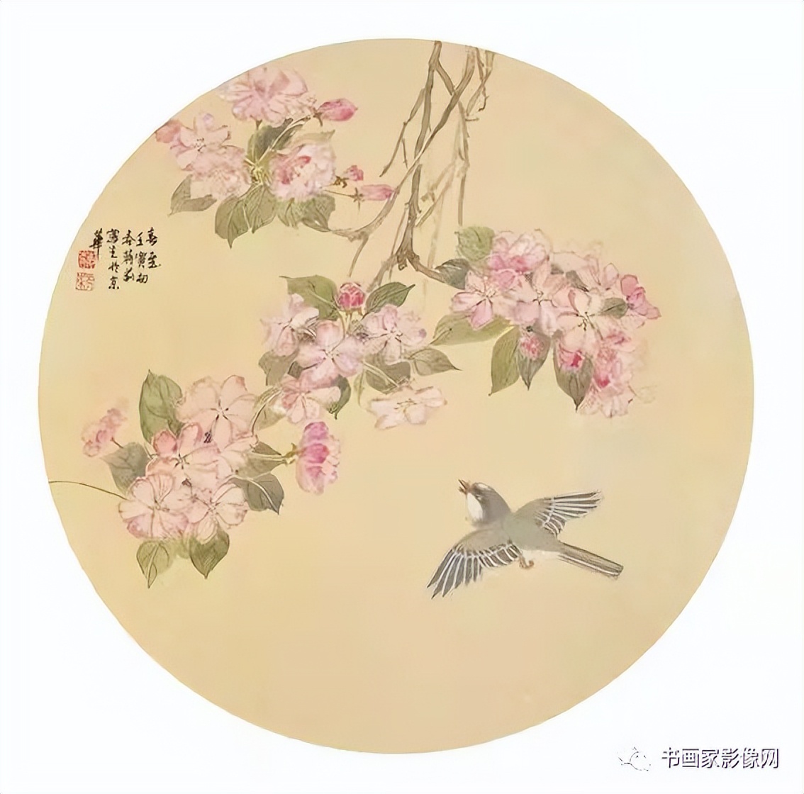 桰⡱ʡҡ