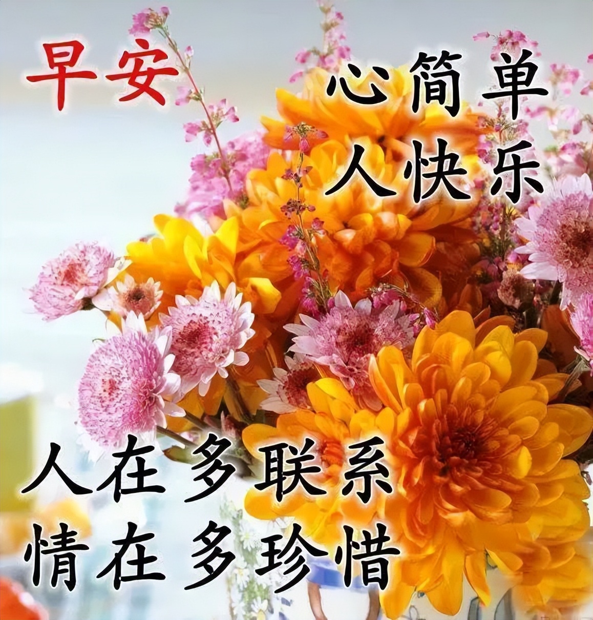 人生就像蒲公英，看似自由，却身不由己