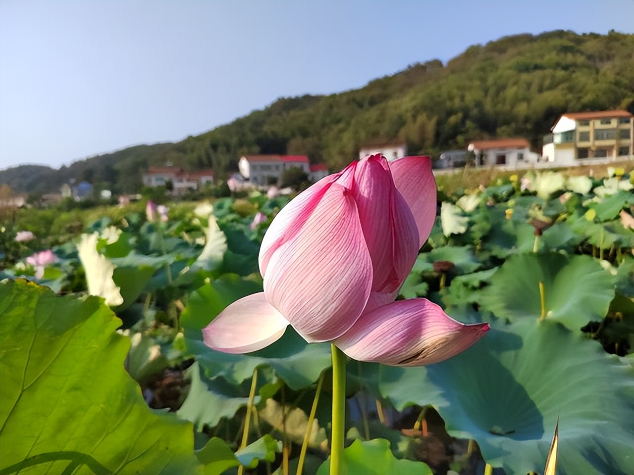 写给人品不好还装的人（写给人品不好还装的人望恩负意）-第6张图片-昕阳网