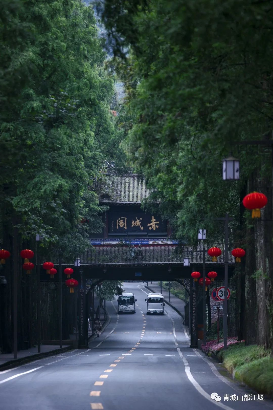 15 ℃神仙秘境！成都出发1h躲进青城山水，绿野仙踪、悠然道韵……现在去刚刚好～