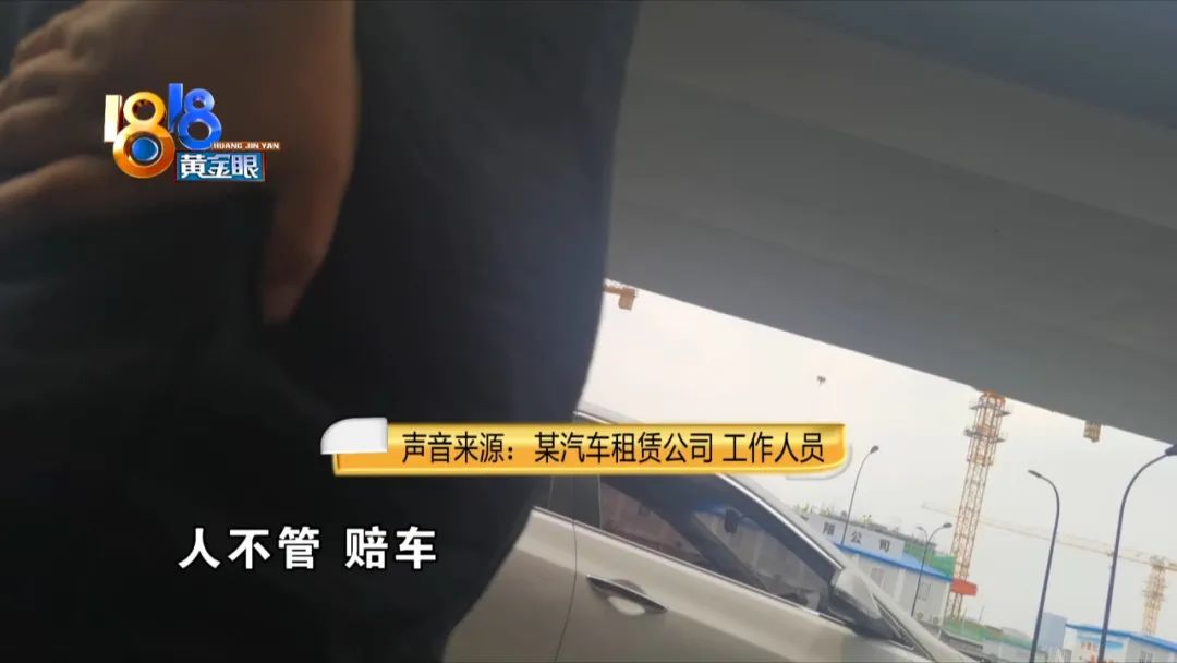 高尔夫车祸(“租车撞树5人受伤”后续：记者深入调查租车市场)