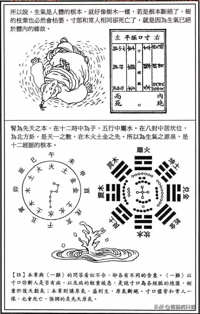 《漫画版八十一难经》第八难：为什么寸脉正常，病人却死亡了？