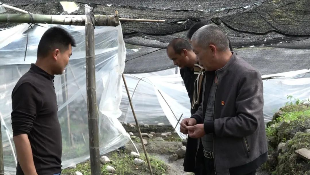 「全面推進鄉(xiāng)村振興」連城：“食用菌”撐起致富路 產(chǎn)業(yè)助推鄉(xiāng)村振興