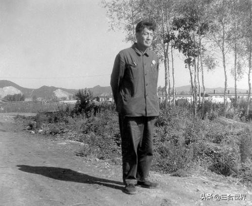 教授之乡，科学家多到颠覆你的认知