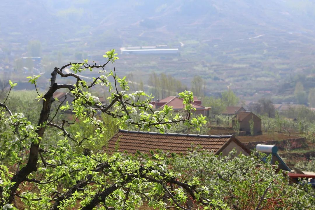 初夏未夏，抓住春天的尾巴~