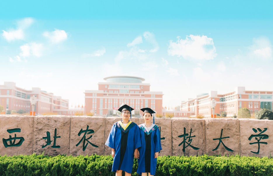 “末流985”VS“顶级211”谁更强？过来人：两财一贸比兰大高50分