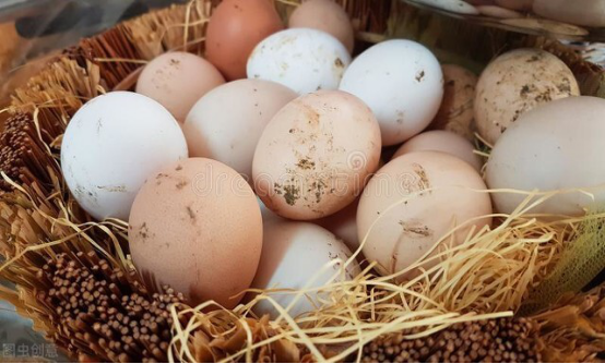 鲜鸡蛋怎样保存时间长（教你三招鸡蛋保存3月）