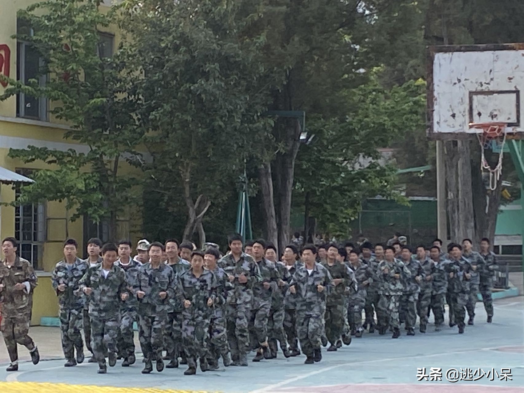 军事化管理封闭式学校小学（小学军事化管理学校）-第2张图片-科灵网