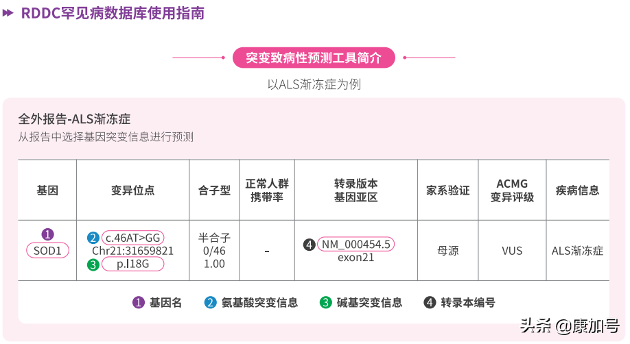 中国自己的罕见病数据中心推动基因治疗研究