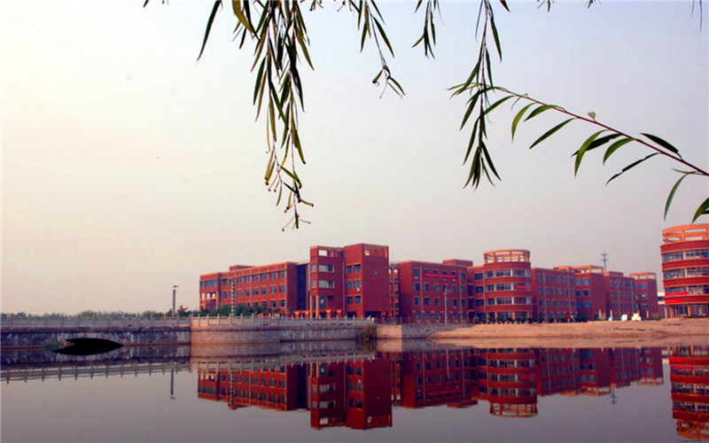 滨州学院2021年各专业录取分数线！仅供2022年考生参考