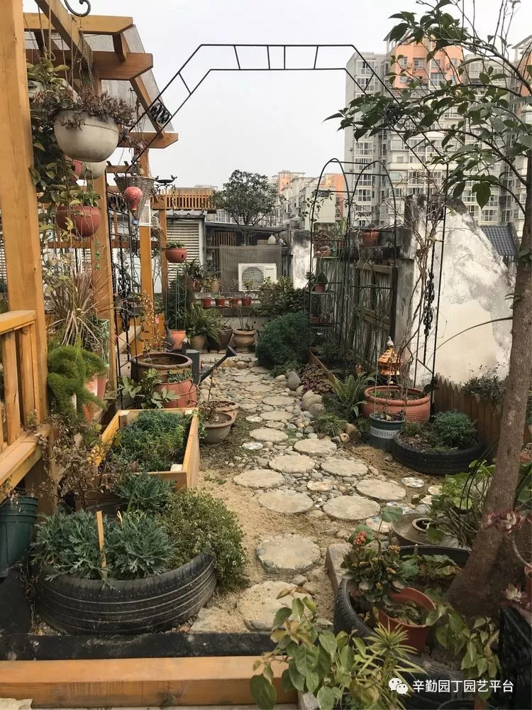 园丁奖花园组《002号》不离不弃,芳龄永继
