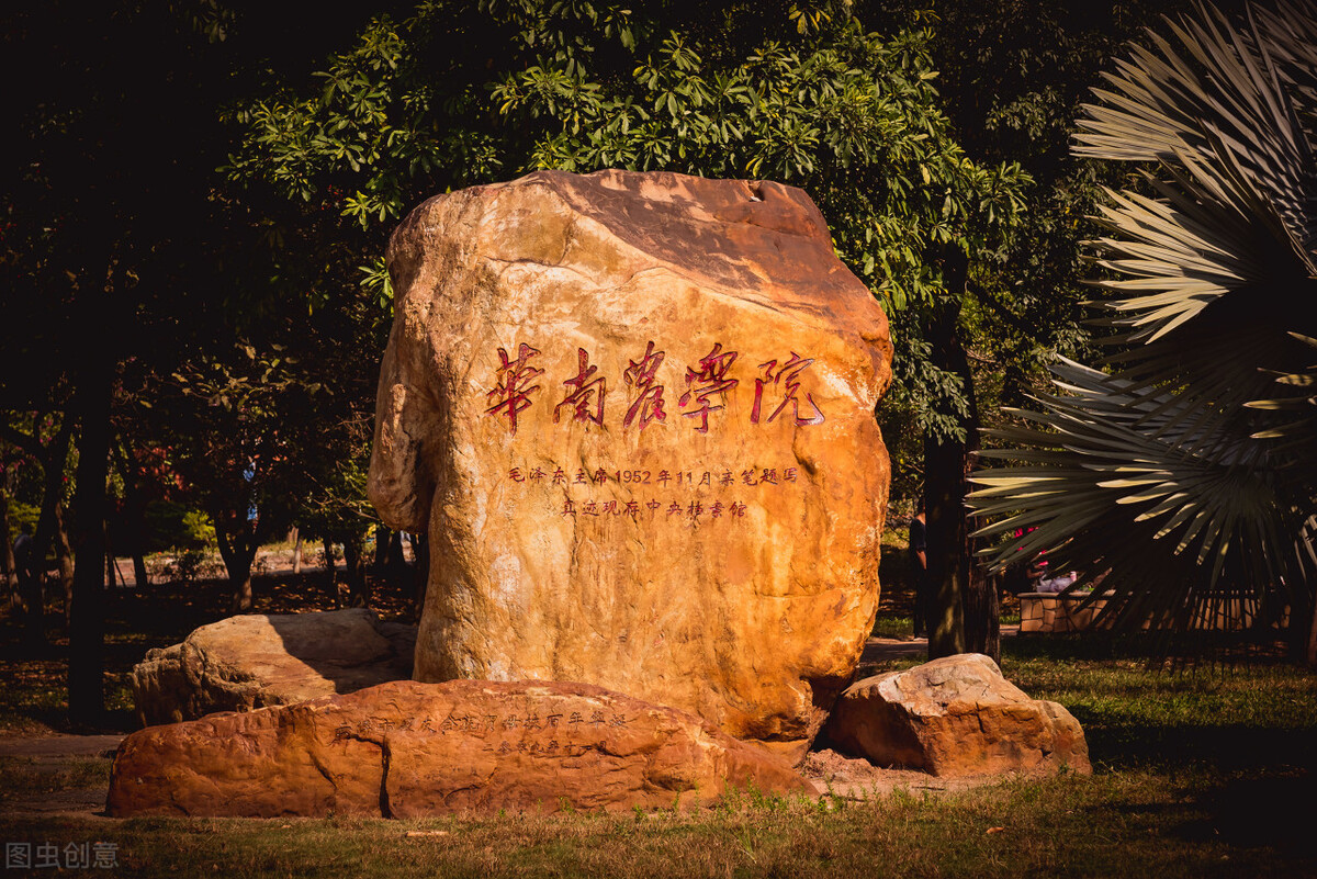 华南农业大学发布2022年艺术类招生简章,附2021年录取分数线 – 兜在