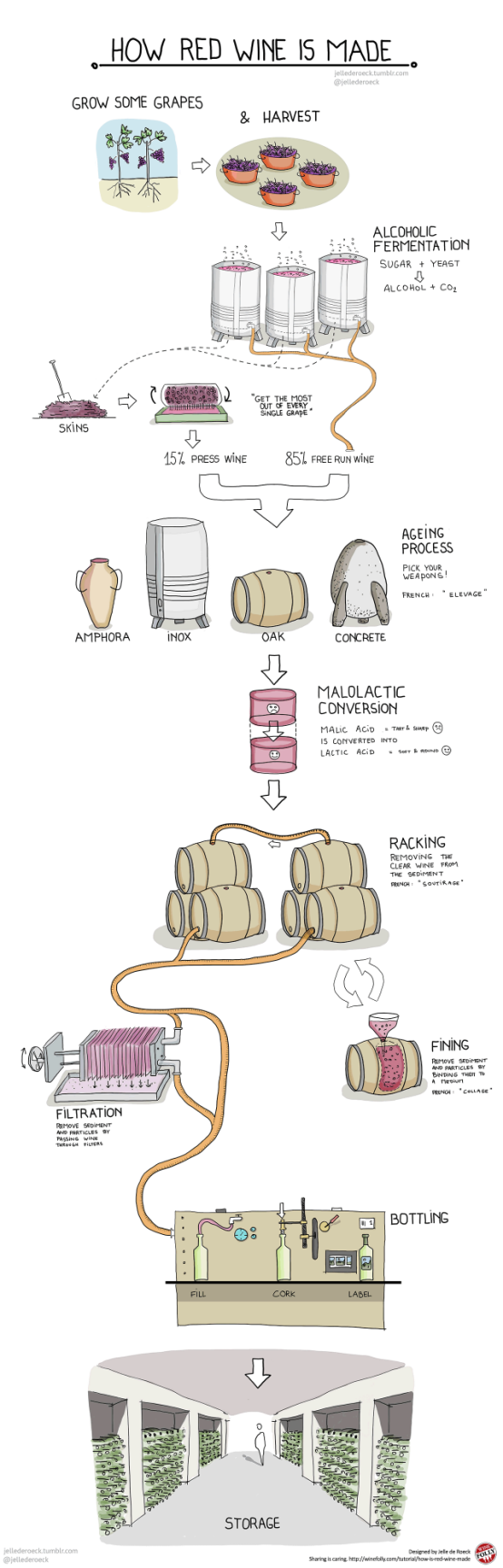 卡斯特葡萄酒的制作方法（干货分享红葡萄酒酿造过程）