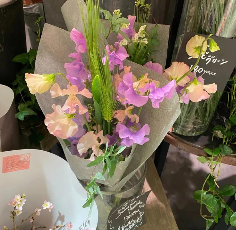 关于春分的朋友圈 / 说说文案