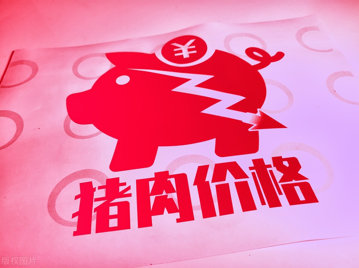 扬州今日最新猪价，扬州猪肉价格今日价