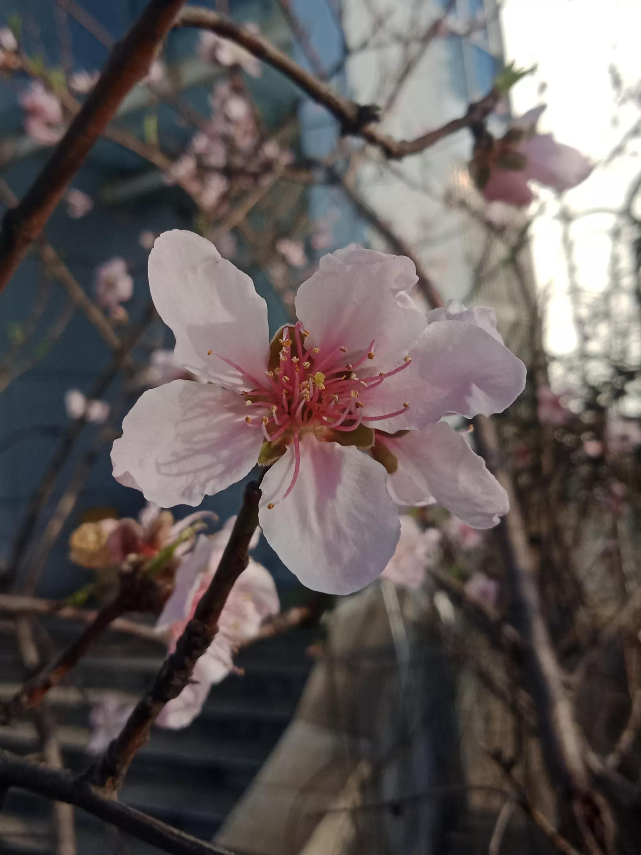 2022世界杯酒店(2023年3月14日，长沙世贸希尔顿酒店，亮灯的房间并不是太多)