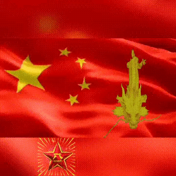 我爱你中国，龙抬头见喜，此处无声胜有声，祝福表情收藏版