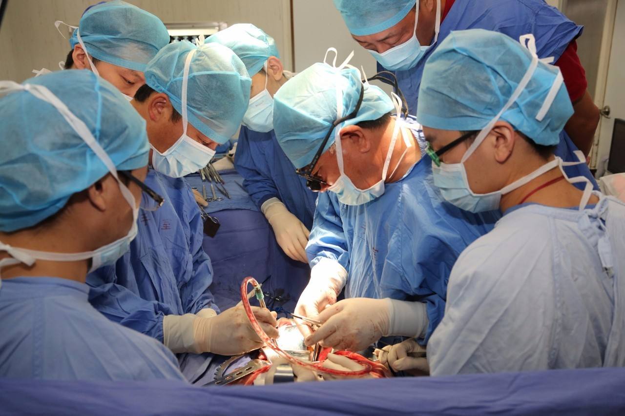 全球首个猪心脏移植的患者死亡,究竟发生了什么?