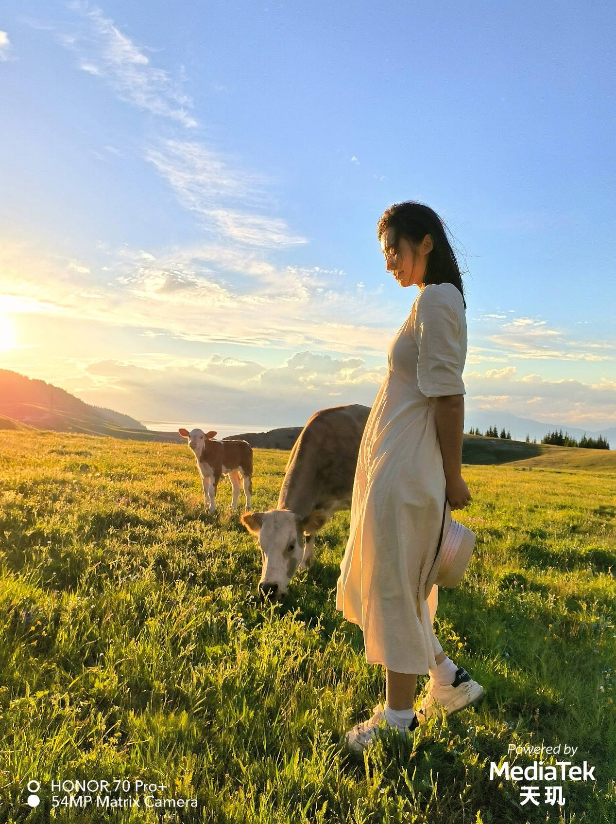 影像能力全面释放，天玑9000手机夏日惊艳样张赏析