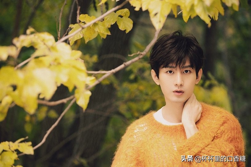 2021男星收视实绩TOP 10！罗云熙垫底，王一博第四、杨洋第二