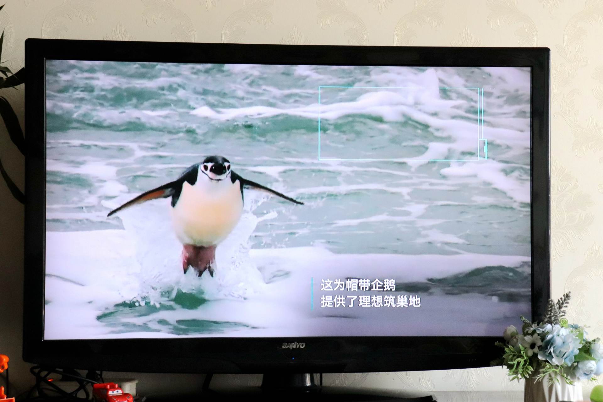 4K高清电视盒子，首选泰捷WE60C升级版