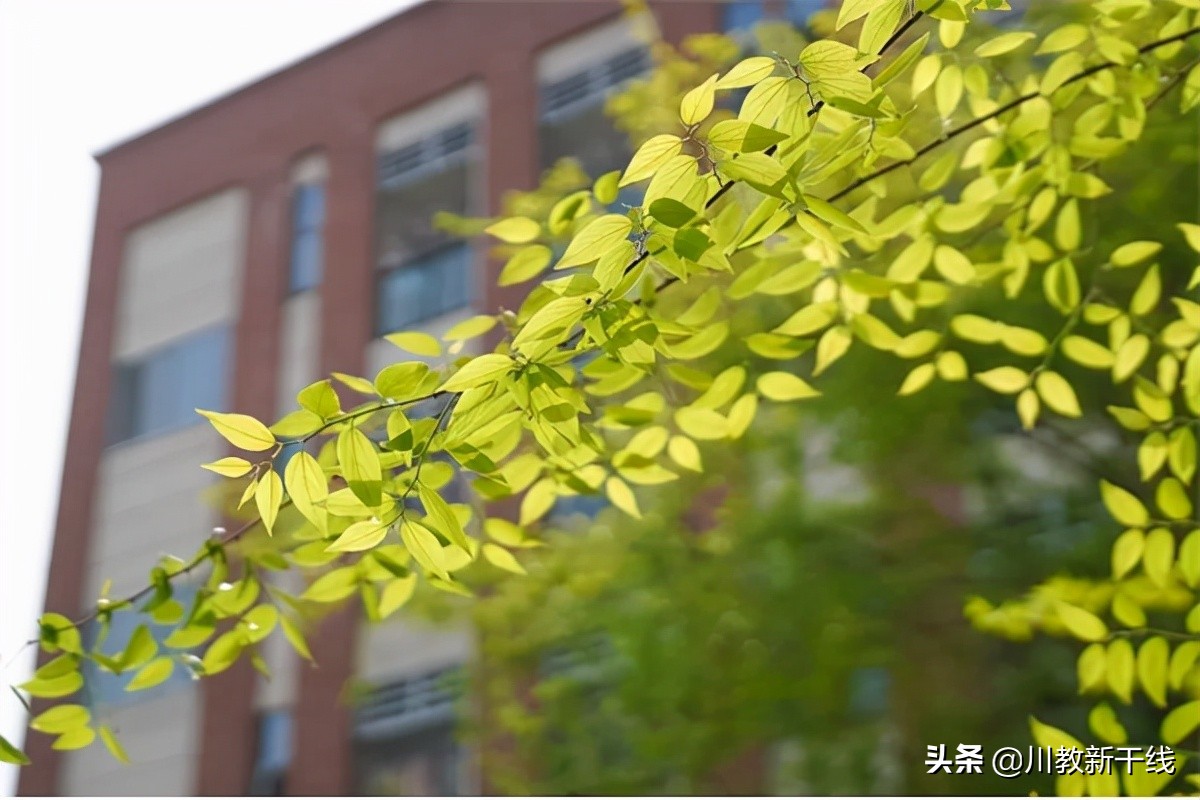 把希望种进春天里——触摸绵阳富乐国际学校温暖如家的贴心服务