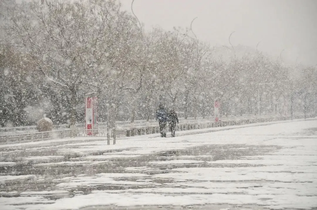 大雪文案20句，简短又温暖