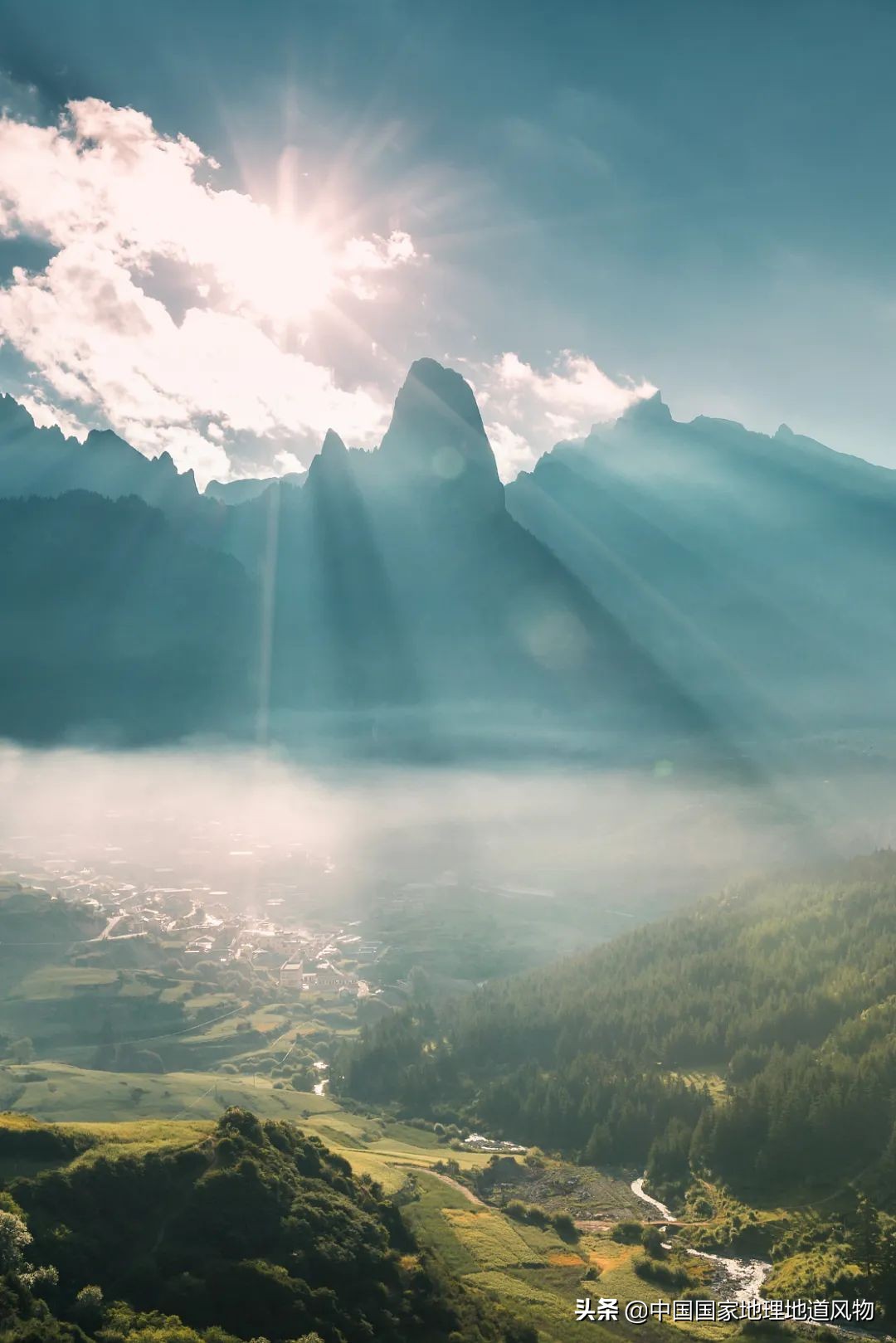 �й���͵����߲˴�ʡ��Ϊʲô�Ǹ��ࣿ