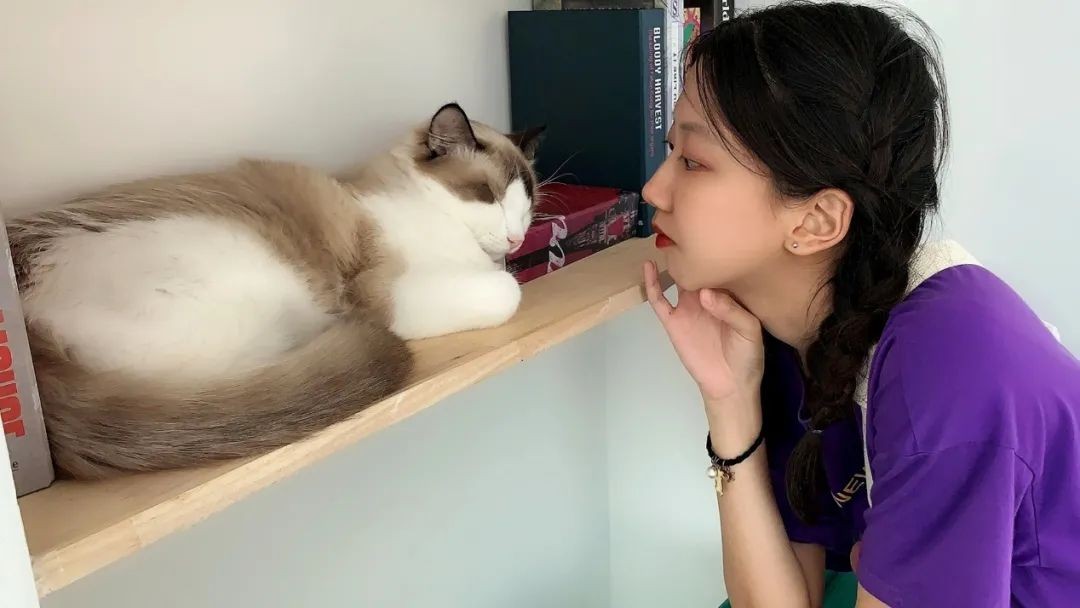 惊艳！陕西“4姐妹”：全员985学霸，全部高颜值，关键住在同一间宿舍！